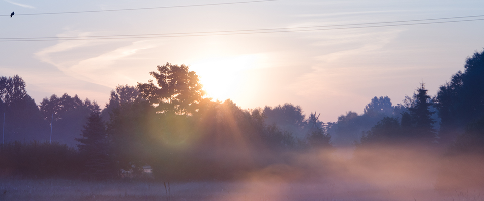 免费使用不要钱的网站攻击测试